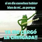 Manolo Luna - @manololuna - Instagram