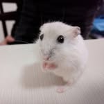 manolomagnolo - @magnolo007 - Instagram