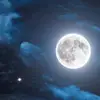 Manolo Martinez - @manolo.martinez101 - TikTok