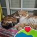 Manolo Martinez - Facebook
