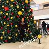 Manolo Ortiz - @manoloortiz10 - TikTok