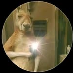 Manolo Piña - @manolopichi16 - Instagram