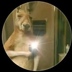 Manolo Piña - Facebook