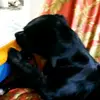 manolopina629 - @manolopina629 - TikTok