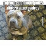 manolo pineda - @pineda.003 - Instagram