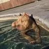 Manolo Pineda - @manolopineda1 - TikTok