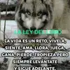 manolo rios - @manolo.rios28 - TikTok