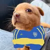 MANOLO ROSAS - @manolo.rosas5 - TikTok