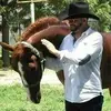 Manolo Rosas - @manolorosas0 - TikTok