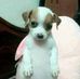 Manolo Rosas - Facebook