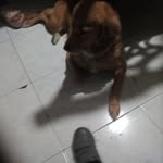 manolo rosas trevi - @manolorosastrevi - Instagram