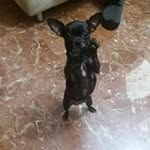 Manolo Salas - @manolo.salas.7393 - Instagram