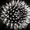 Manolo Sanchez - @manolosanchez_1 - TikTok