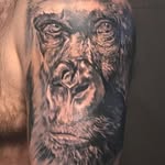 Manolo Velasco - @manolo.velasco.330 - Instagram