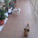 Manolo Villegas - Facebook