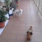 Manolo Villegas Romero - @manolo.villegas.romero - Instagram