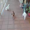 Manolo Villegas Romero - @manolo.villegas.r - TikTok