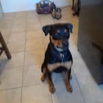 Manon Belanger - @manon.laberge.58 - Instagram