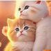 Manoo Bili - Facebook