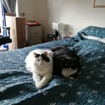 Manon Bolduc - Facebook