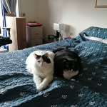 Manon Bolduc - @manon.bolduc.984 - Instagram