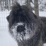 Manon Bourgoin Migner - @manonmigner - Instagram