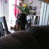 Manon Burns - @manon.burns - TikTok