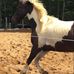 Manon Castonguay - Facebook
