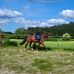 Manon Duquenne - Facebook