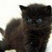 Manon Duquenne - Facebook