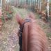 Manon Vreeman - Facebook
