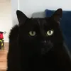 Manon Labelle - @manon.labelle86 - TikTok
