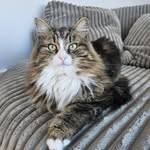 Manon Laplante - @manonnlaplante - Instagram