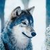 Manon Leduc - Facebook