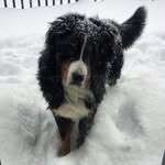 Manon Lefebvre - @manon_652 - Instagram
