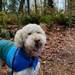 Adventures of Mr Murray - @manong_murray - Instagram