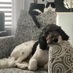 Manon Royer - @renewal48 - Instagram