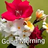 Manpreet Anand - @manpreetanand4 - TikTok