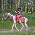 Mansi D - @mansidholakia1 - Instagram