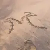 Mansi Sheth - @mansipatel2511 - TikTok