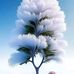 Mansi Singh - Facebook