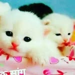 mansi tewari - @tewari.mansi - Instagram