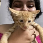 Mansi Tyagi - @tyagi.mansii - Instagram