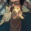 Mansoor Haque593 - @mansoorhaque593 - TikTok