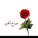 abu_mohamed4 - @jaffer_mansoor - Instagram