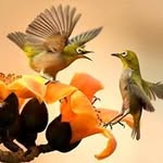 Mansoor Jaffer - @mansoor.jaffer1 - Instagram