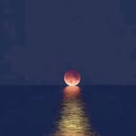 Mansoor Jaffer - @spinzer110 - Instagram