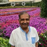 Mansoor Jaffery - @mansoorjaffery - Instagram