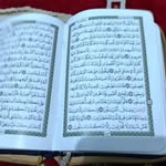 Mansour Hamza - @mansourhamza82 - Instagram