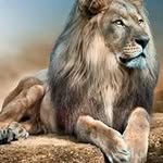 Mansour Hamza - @mansourhamza16 - Instagram